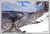 Pa. Grand Canyon aka Pine Creek Gorge