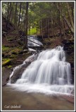 Bear Run Falls 2