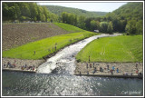 Lyman Run Kids Fishing Derby