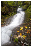 Rexford Falls