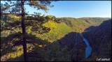 Pine Creek Gorge