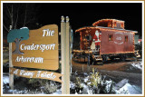 Coudersport Arboretum