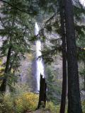 multnomah_falls_1.jpg