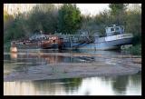 St florent le vieil