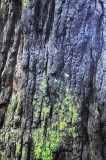 DSC_1402F_resize.jpg