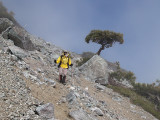 Mt Baldy