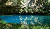 Current Owls Bend to Blue Spring 073.jpg