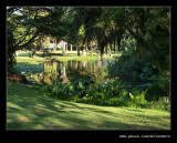 Botanic Garden #07, Durban, KZN, South Africa