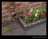 Tilted Cottage Flowers #2, Black Country Museum