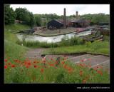 Canal Basin Poppies, Black Country Museum
