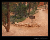 Queens Garden Hike #11, Bryce Canyon National Park