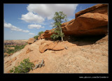 Anasazi Grain Store #1, Islands in the Sky, Canyonlands National Park