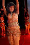 Travel and Transportation Party Nov 23, 2006