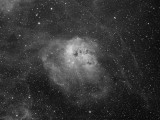 IC 410; The Tadpoles