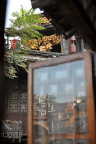 Fenghuang reflections