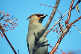IMG_6688T.jpg