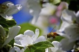 IMG_6551