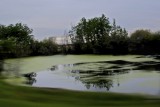IMG_1129