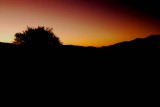 Daybreak