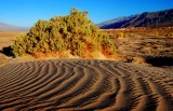 Dawn to Day in Death Valley