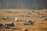 Battle Scene