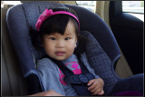 IMGP3728_1.jpg