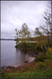 IMGP3509_1.jpg