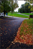 IMGP3544_1.jpg