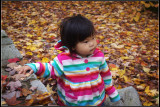 IMGP4496_1.jpg