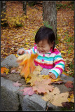 IMGP4515_1.jpg
