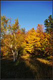 IMGP4143_1.jpg