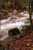 IMGP4423_1.jpg