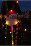 IMGP4948_1.jpg