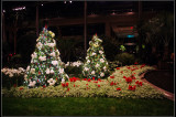 IMGP5489_1.jpg