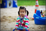 IMGP6616_1.jpg