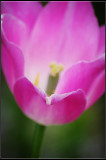 IMGP6679_1.jpg