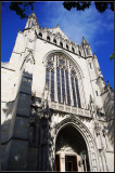 IMGP7375_1.jpg