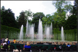IMGP7539_1.jpg