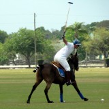 POLO 005.jpg