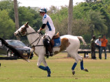 POLO 027.jpg