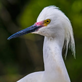 _MG_41587 nik.jpg
