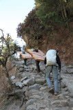 Porters carrying plywood