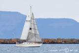 Sailing 008