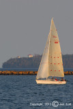 Sailing 045