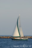 Sailing 067