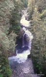 Over-looking the Suspension Bridge