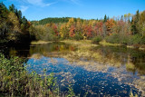 PB_ASC2223_Water_reflection:Miroir_dautomne_Mauricie_Quebec.jpg