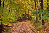 PB_ASC3143_A_trail_to_the_sugar-house_Ste-Anne-des-Plaines_Laurentians_Quebec.jpg