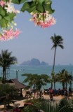 Krabi. Ao Nang Flowers