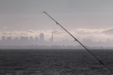 City Fishin